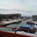 DSC03836_01 (June 15, 2020)